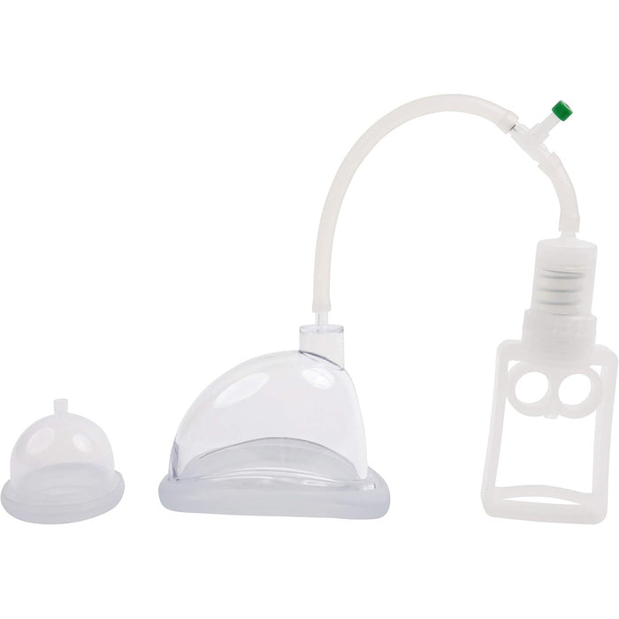 Penio modelių rinkinys – 5 dalių komplektas su medicininiais standartais