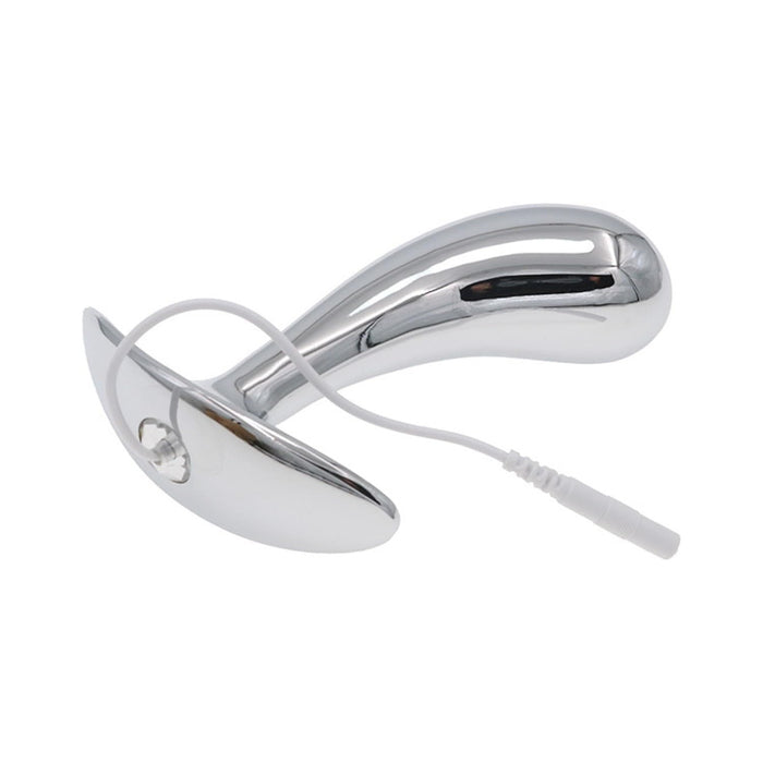 Elektrinis Nerūdijančio Plieno Analinis Kaištis su Trijų Dydžių Pasirinkimu, Sidabrinis L