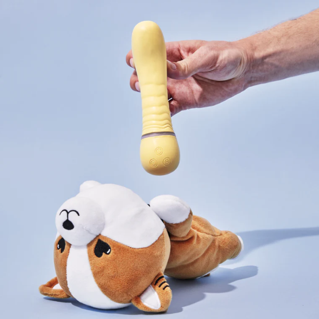 TOYS G-spot vibrator with plush case 